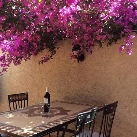 Holiday home Mas Grandiflora