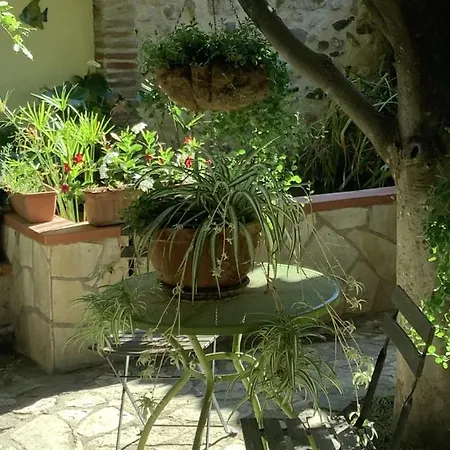 Holiday home Mas Grandiflora *
